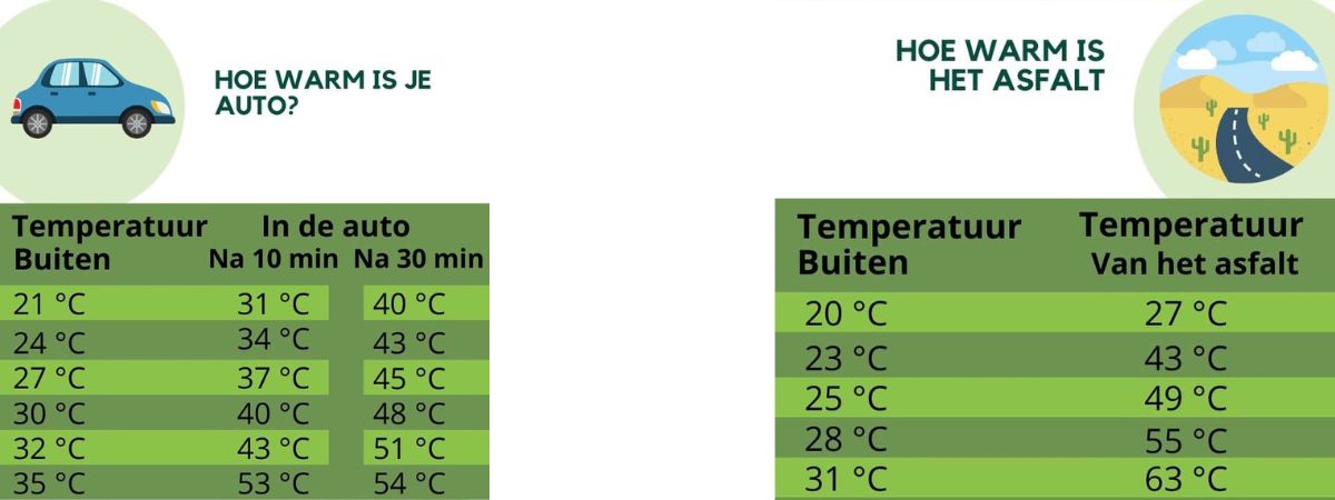 Hitte in auto en op asfalt - Dierenkliniek Coppelmans