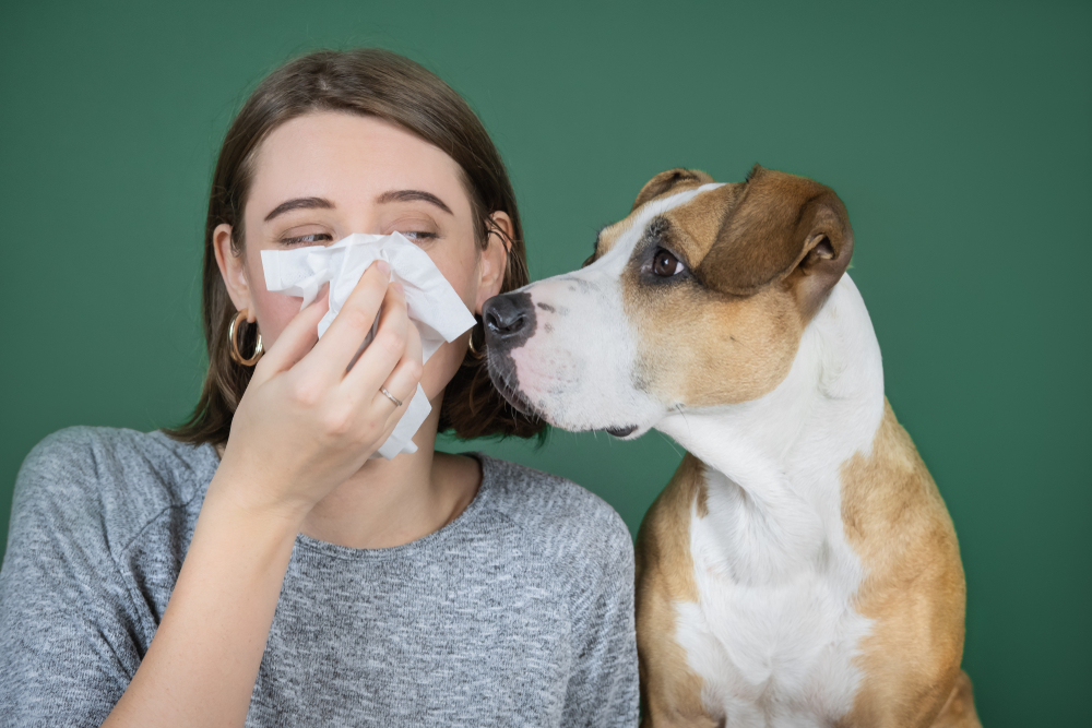 Coronavirus bij huisdieren - Dierenkliniek Coppelmans