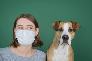 Coronavirus, gevaarlijk voor mijn huisdier?