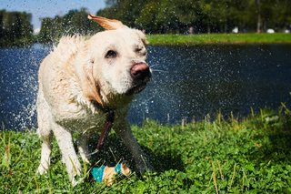 Pas op met zwemmen in oppervlaktewater