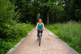 Veilig fietsen met uw hond: 5 tips